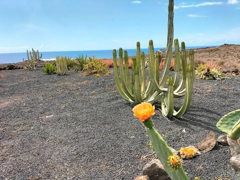 Ocean - Volcano House Teguise  Spain